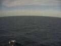 Webcam Mein Schiff 3