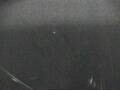 Webcam Mein Schiff 4