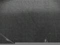 Webcam Mein Schiff 4