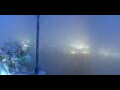 Webcam Pilatus