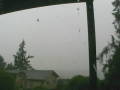Webcam Bay City, Oregon