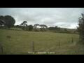 Webcam Dartmoor