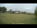 Webcam Dartmoor
