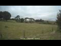 Webcam Dartmoor