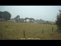 Webcam Dartmoor