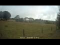 Webcam Dartmoor