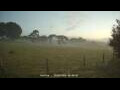 Webcam Dartmoor