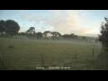 Webcam Dartmoor