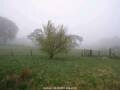 Webcam Dartmoor
