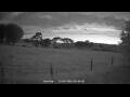 Webcam Dartmoor