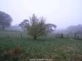 Webcam Dartmoor