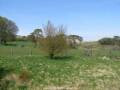 Webcam Dartmoor