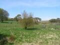 Webcam Dartmoor