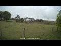Webcam Dartmoor