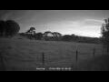 Webcam Dartmoor