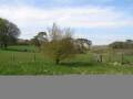Webcam Dartmoor