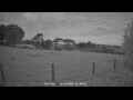 Webcam Dartmoor