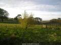 Webcam Dartmoor