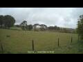 Webcam Dartmoor