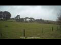 Webcam Dartmoor
