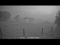 Webcam Dartmoor