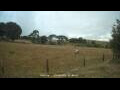 Webcam Dartmoor