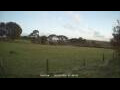 Webcam Dartmoor