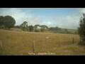 Webcam Dartmoor