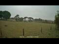 Webcam Dartmoor