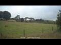 Webcam Dartmoor