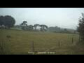 Webcam Dartmoor
