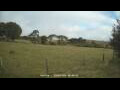 Webcam Dartmoor