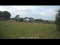 Webcam Dartmoor