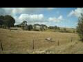 Webcam Dartmoor