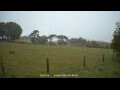 Webcam Dartmoor