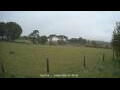 Webcam Dartmoor