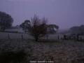 Webcam Dartmoor