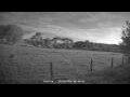 Webcam Dartmoor