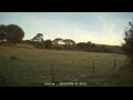 Webcam Dartmoor