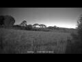 Webcam Dartmoor