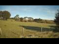 Webcam Dartmoor