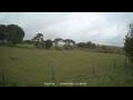 Webcam Dartmoor