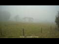 Webcam Dartmoor