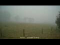 Webcam Dartmoor