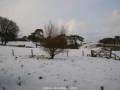 Webcam Dartmoor