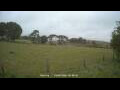 Webcam Dartmoor