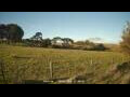 Webcam Dartmoor