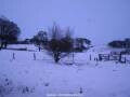 Webcam Dartmoor