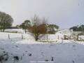 Webcam Dartmoor