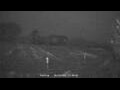 Webcam Dartmoor